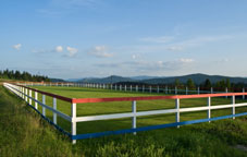 Fenced field for maximum area 