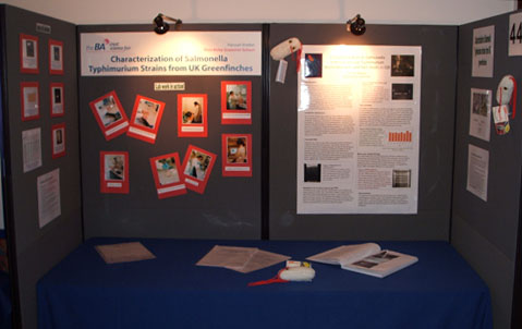 poster project examples