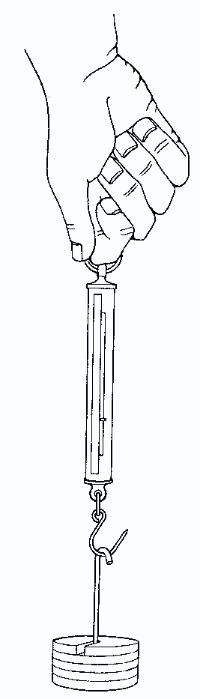 Introduction to forcemeters | Nuffield Foundation