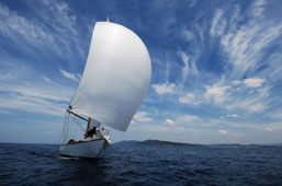 Vectors yacht
