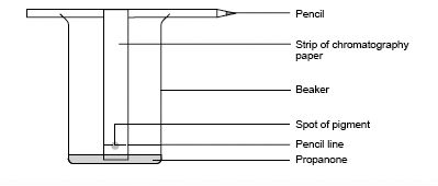 Apparatus set-up
