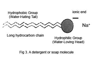 soap molecule