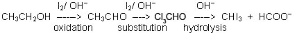 First step equation