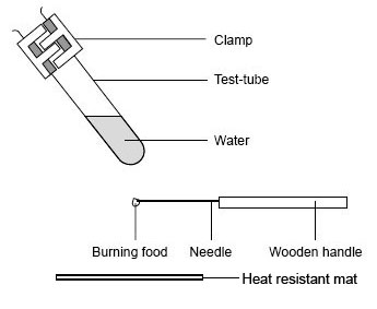 Apparatus set-up