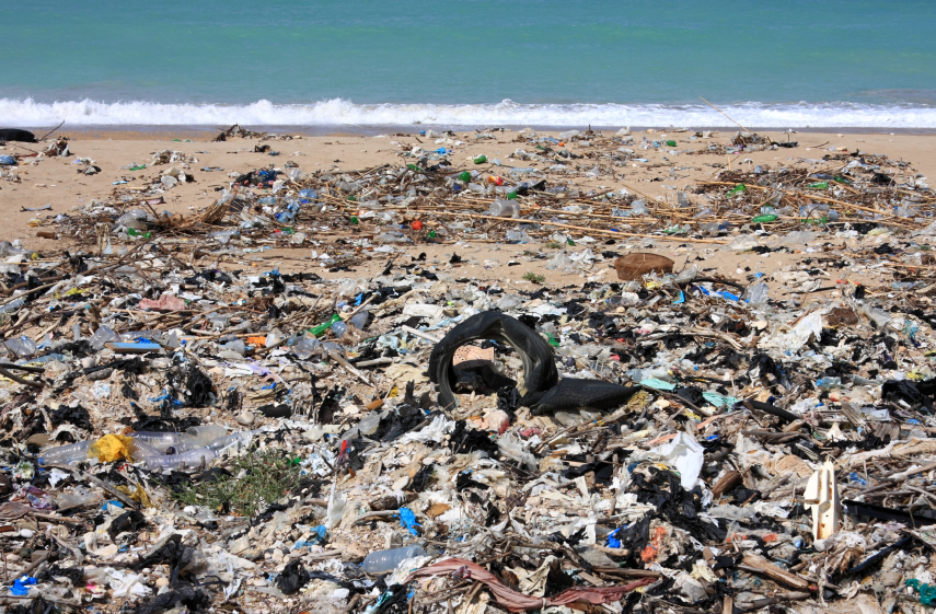 Waste lesson 1 image