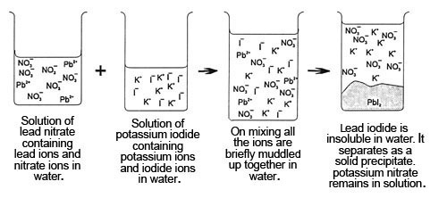 Cations and anions ions behaving differently