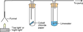 heat of combustion experiment In this experiment the heat of combustion of an organic compound is determined using a commercial parr adiabatic bomb calorimeter the heat of combustion. heat of combustion experiment In this experiment the heat of combustion of an organic compound is determined using a commercial parr adiabatic bomb calorimeter the heat of combustion.