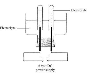 Apparatus set-up