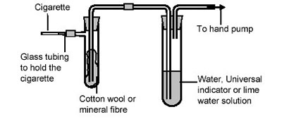 cigarette-smoking apparatus