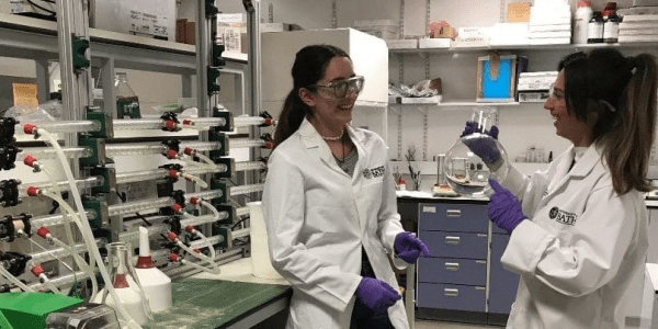 Chloe working in a laboratory on her Nuffield Research Placement